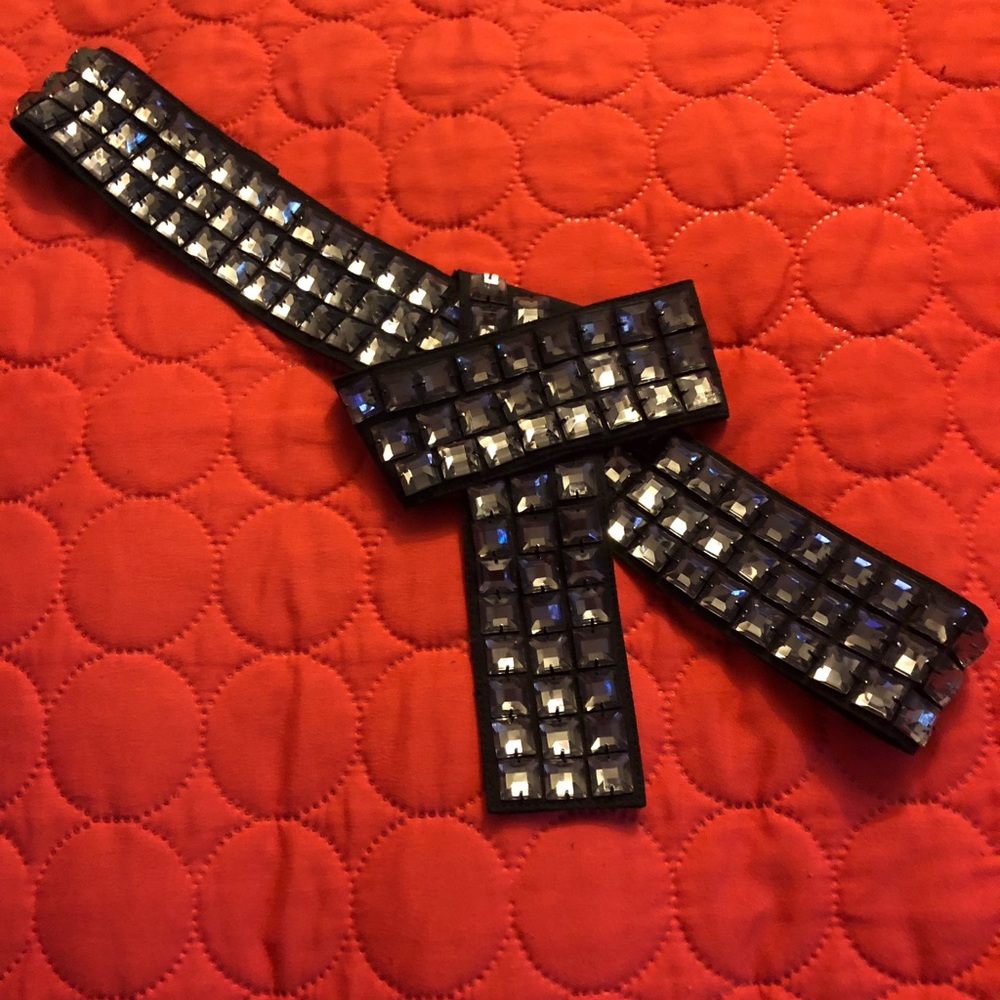 BCBG Belt
